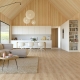 22240 MIDLAND OAK